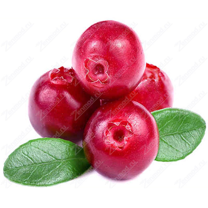 Фото и внешний вид — Capella - Cranberry 10мл