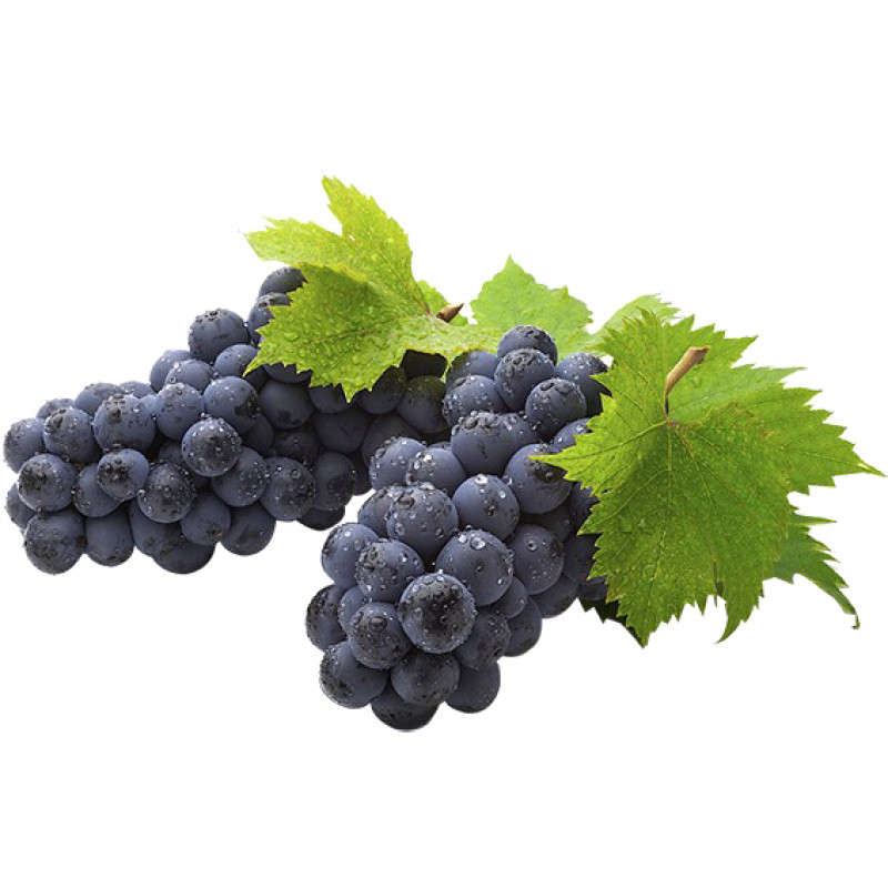 Фото и внешний вид — Capella - Grape 10мл