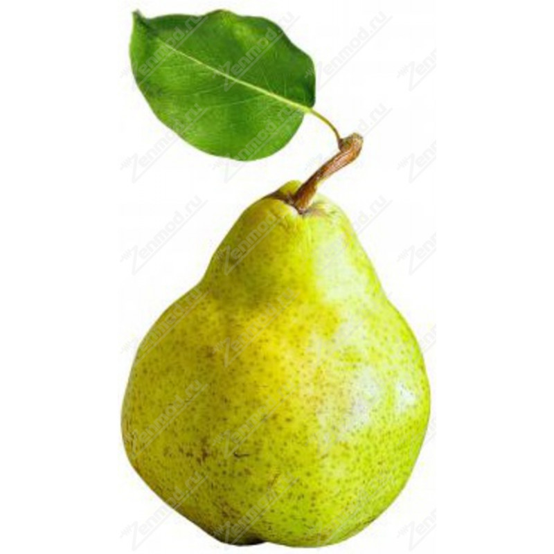 Фото и внешний вид — Capella - Pear with Stevia 10мл