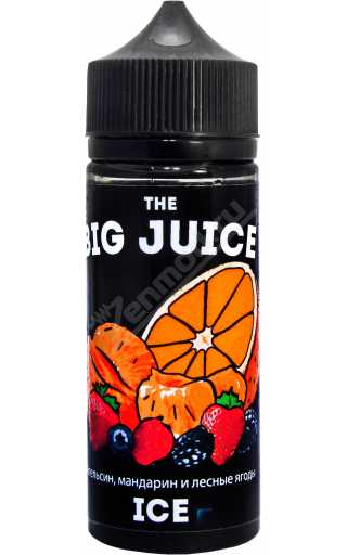 BIG JUICE - Апельсин-мандарин и лесные ягоды 120мл