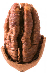 Capella SL - Butter Pecan 10мл