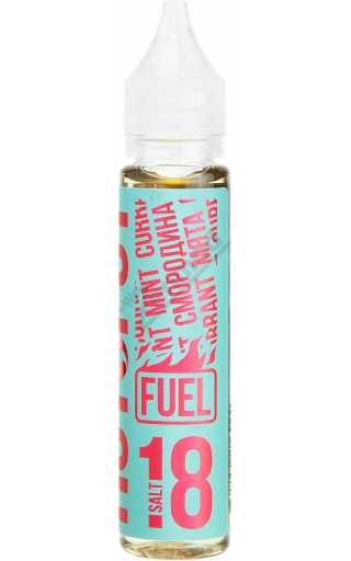 Hotspot Fuel SALT - Смородина Мята 30мл