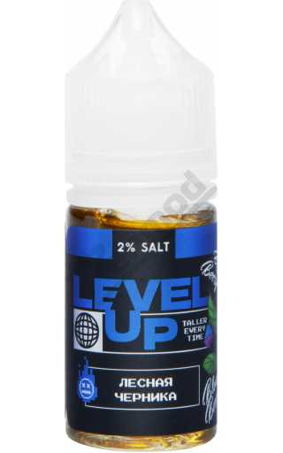 Level Up Ice SALT - Лесная Черника 30мл