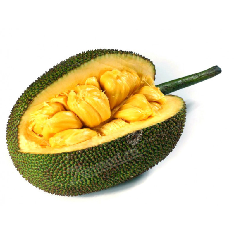 Фото и внешний вид — TPA - Jackfruit 10мл