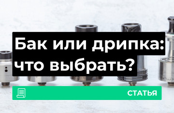 Бак или дрипка: что выбрать?